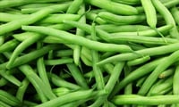நுரையீரல் நோய்களை சரி செய்யும் பீன்ஸ் 